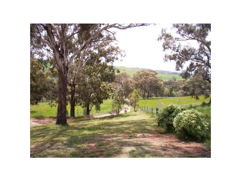 363 Dickson Lane, Orange NSW 2800