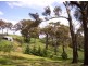 363 Dickson Lane, Orange NSW 2800
