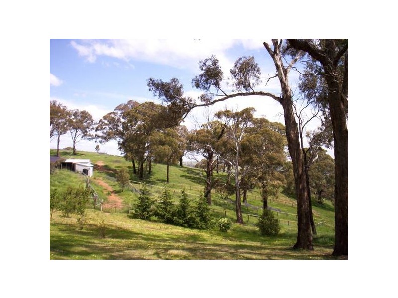363 Dickson Lane, Orange NSW 2800