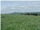 Lot 1 Brown’s Creek Road, Blayney NSW 2799