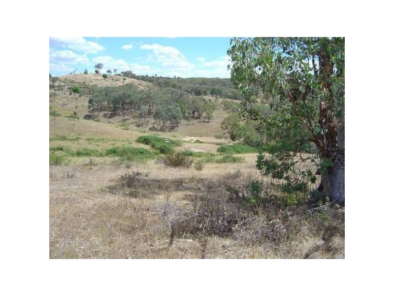 1217 Bundalah Road, Orange NSW 2800