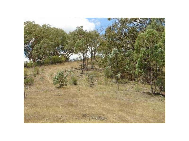 1217 Bundalah Road, Orange NSW 2800