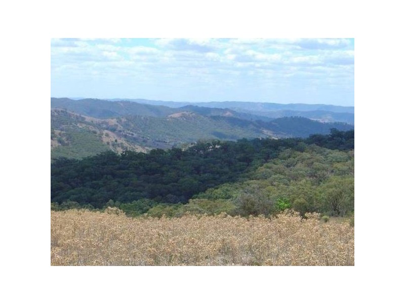 1217 Bundalah Road, Orange NSW 2800