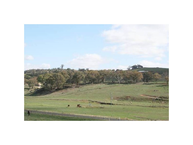 – Windera ESTATE, Orange NSW 2800