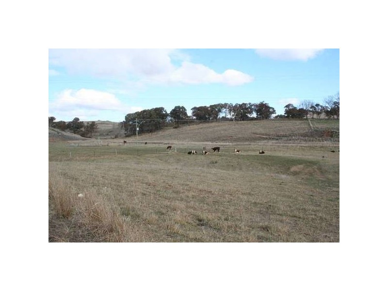 – Windera ESTATE, Orange NSW 2800