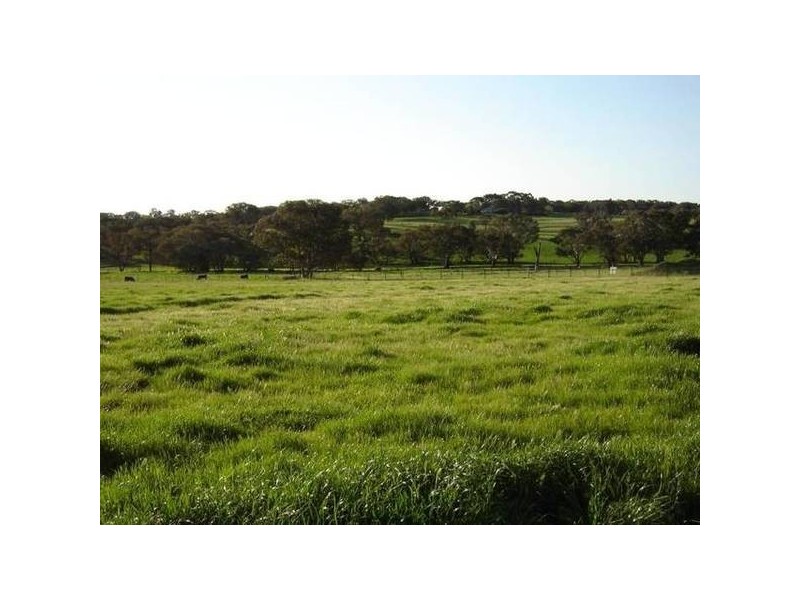 Lot 103 Westlynn Subdivision, Molong NSW 2866