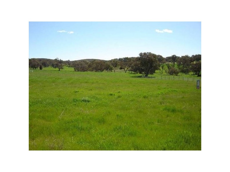 Lot 103 Westlynn Subdivision, Molong NSW 2866