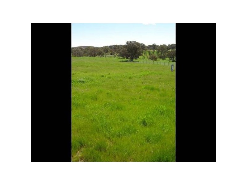 Lot 103 Westlynn Subdivision, Molong NSW 2866