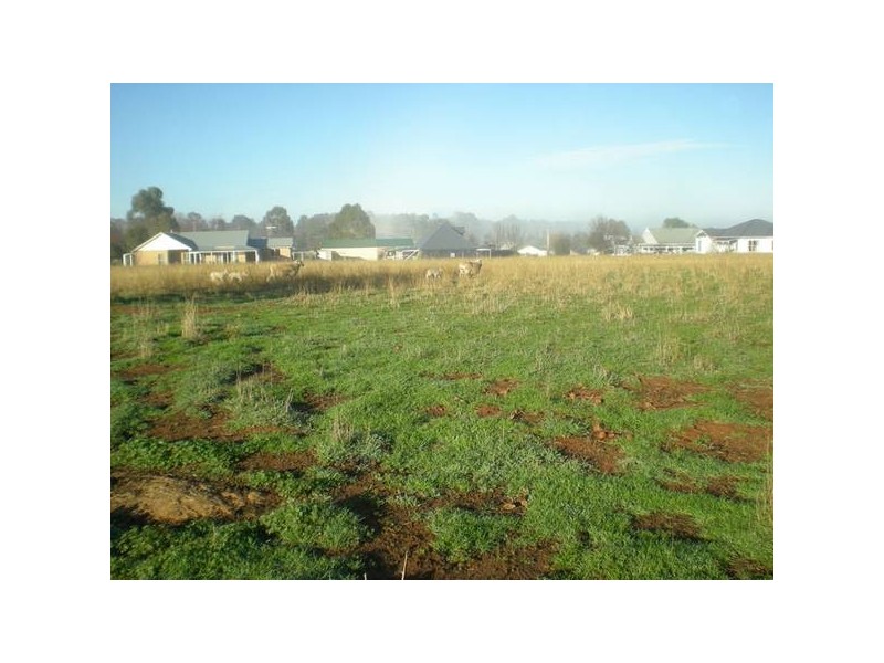 North Millthorpe Subdivision, Millthorpe NSW 2798