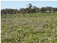 Lot 4 & 5 Back Saleyards ROAD, Molong NSW 2866