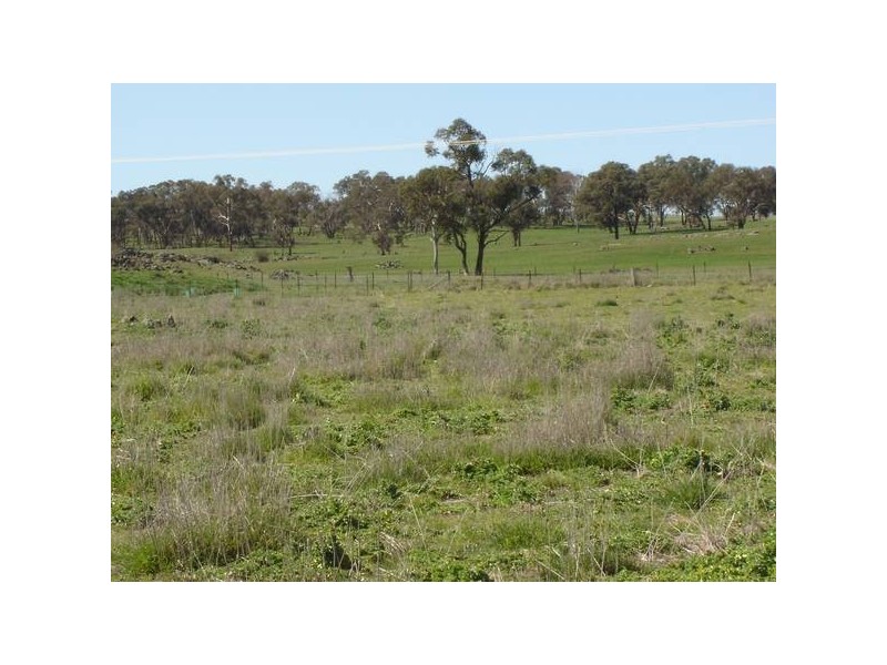 Lot 4 & 5 Back Saleyards ROAD, Molong NSW 2866