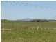 Lot 4 & 5 Back Saleyards ROAD, Molong NSW 2866