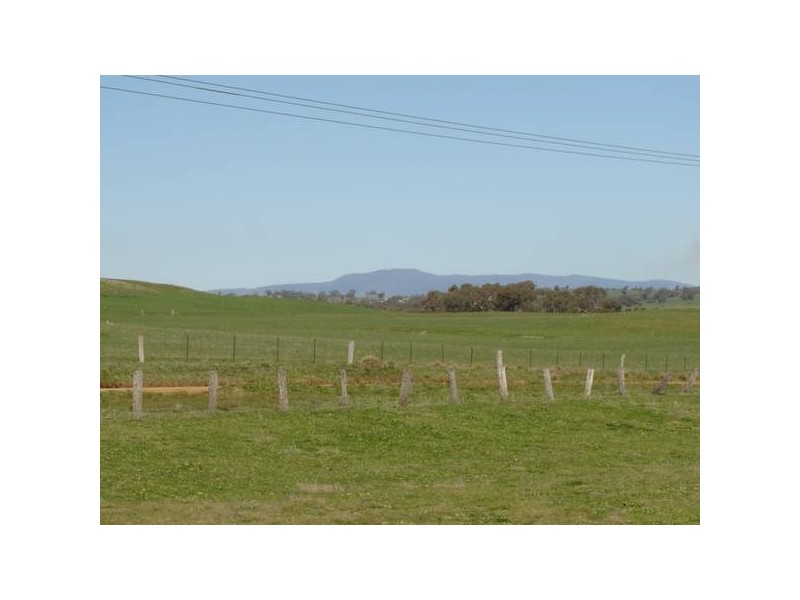 Lot 4 & 5 Back Saleyards ROAD, Molong NSW 2866