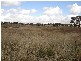 Lot 4 & 5 Back Saleyards ROAD, Molong NSW 2866