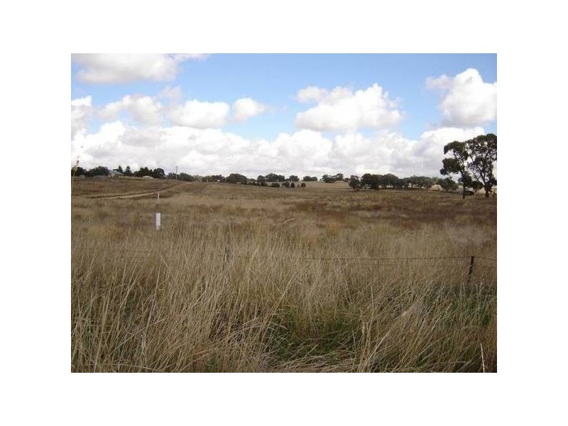 Lot 4 & 5 Back Saleyards ROAD, Molong NSW 2866