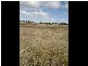Lot 4 & 5 Back Saleyards ROAD, Molong NSW 2866