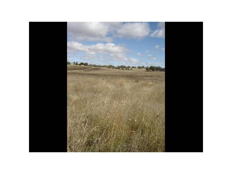 Lot 4 & 5 Back Saleyards ROAD, Molong NSW 2866