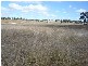 Lot 4 & 5 Back Saleyards ROAD, Molong NSW 2866