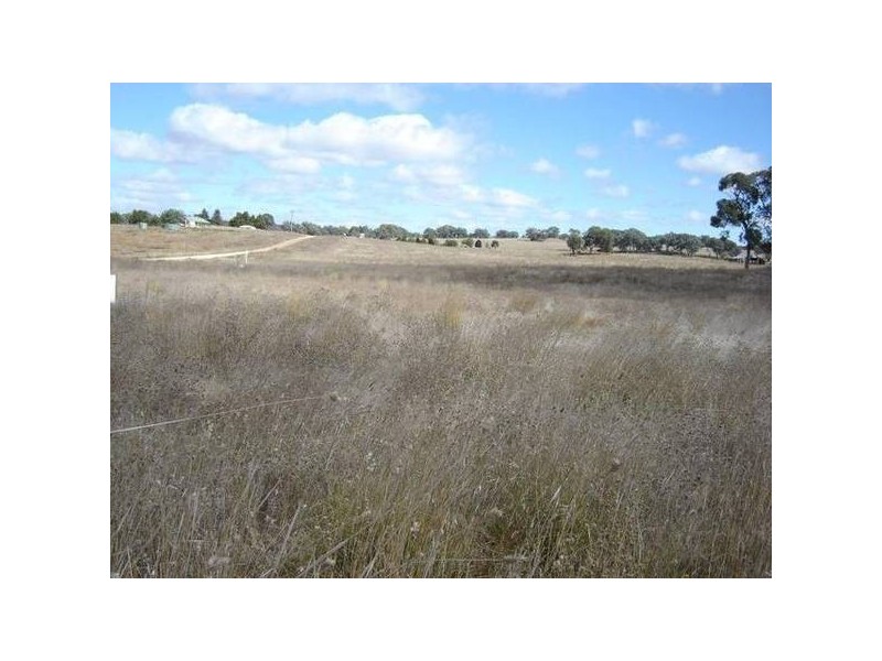 Lot 4 & 5 Back Saleyards ROAD, Molong NSW 2866