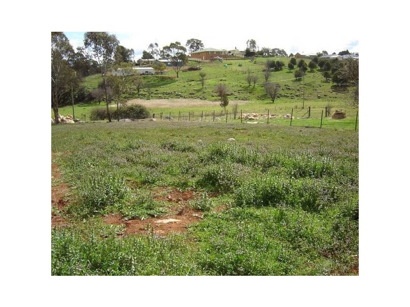 Lot 15 Kite Street, Molong NSW 2866