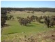 102 Sandy Creek Road, Molong NSW 2866