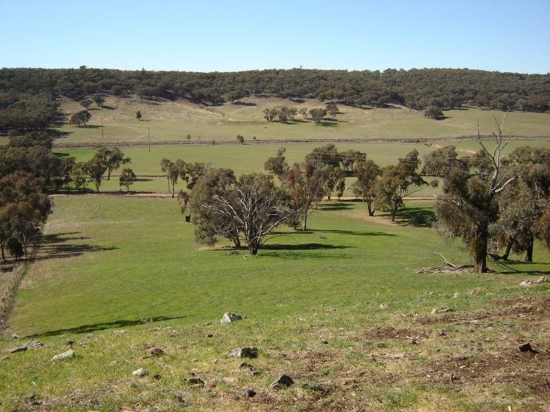102 Sandy Creek Road, Molong NSW 2866