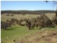 102 Sandy Creek Road, Molong NSW 2866