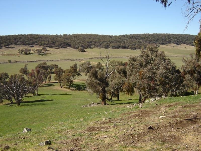 102 Sandy Creek Road, Molong NSW 2866