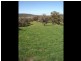 102 Sandy Creek Road, Molong NSW 2866