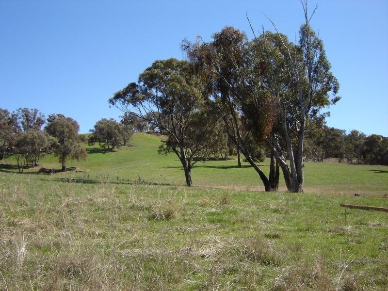 102 Sandy Creek Road, Molong NSW 2866