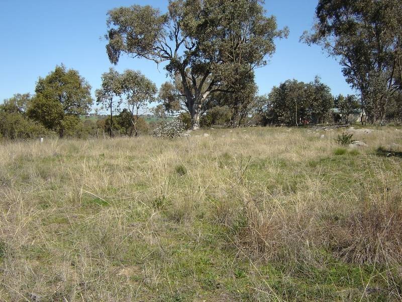 Lot 203 McGroder Street, Molong NSW 2866