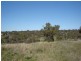 Lot 203 McGroder Street, Molong NSW 2866