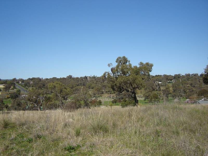 Lot 203 McGroder Street, Molong NSW 2866