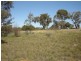 Lot 203 McGroder Street, Molong NSW 2866