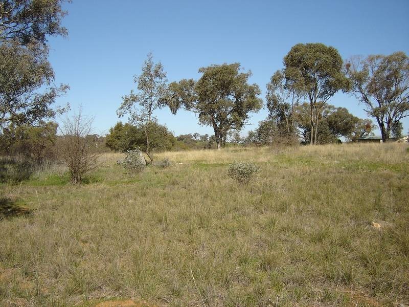 Lot 203 McGroder Street, Molong NSW 2866