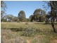 Lot 203 McGroder Street, Molong NSW 2866