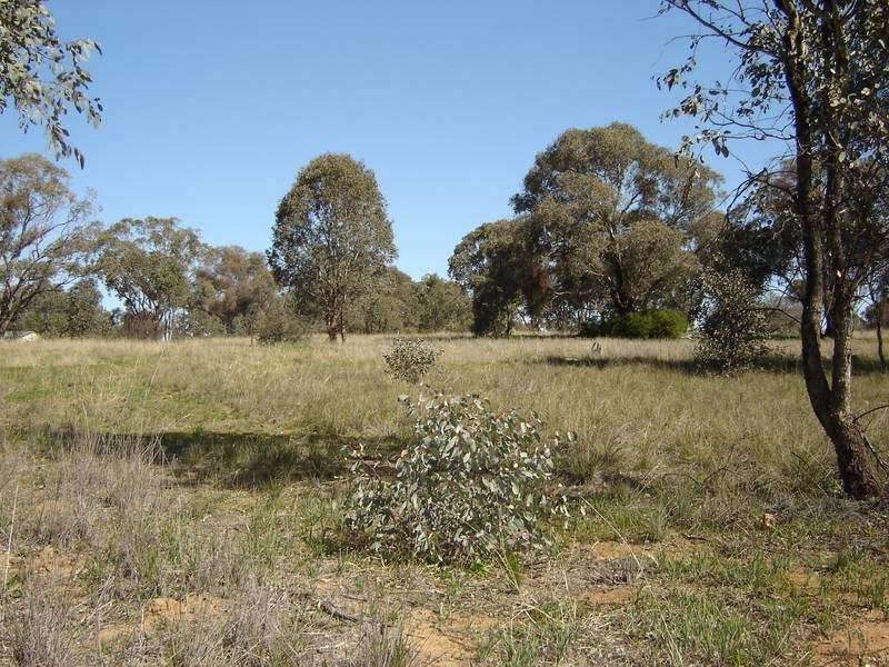 Lot 203 McGroder Street, Molong NSW 2866