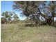 Lot 203 McGroder Street, Molong NSW 2866