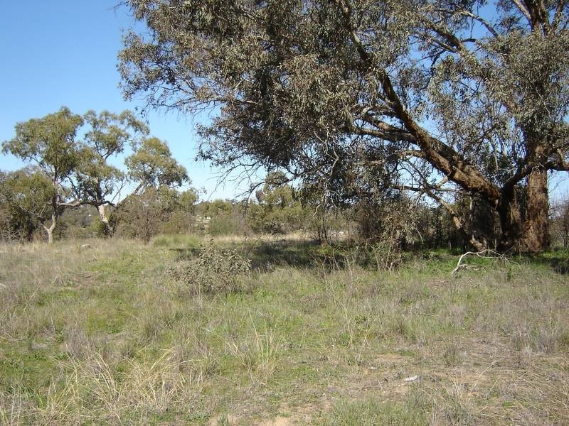 Lot 203 McGroder Street, Molong NSW 2866