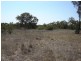 Lot 203 McGroder Street, Molong NSW 2866