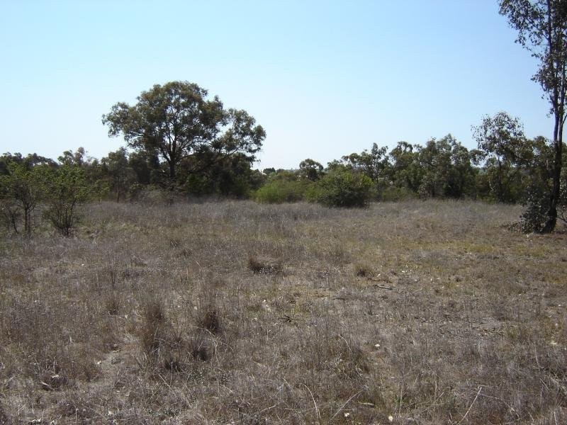 Lot 203 McGroder Street, Molong NSW 2866