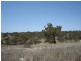 Lot 203 McGroder Street, Molong NSW 2866