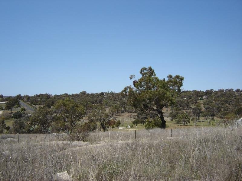 Lot 203 McGroder Street, Molong NSW 2866