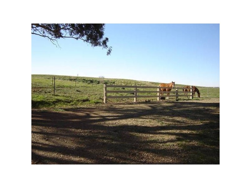 Lot 202 Jennings Lane, Molong NSW 2866