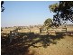 Lot 202 Jennings Lane, Molong NSW 2866