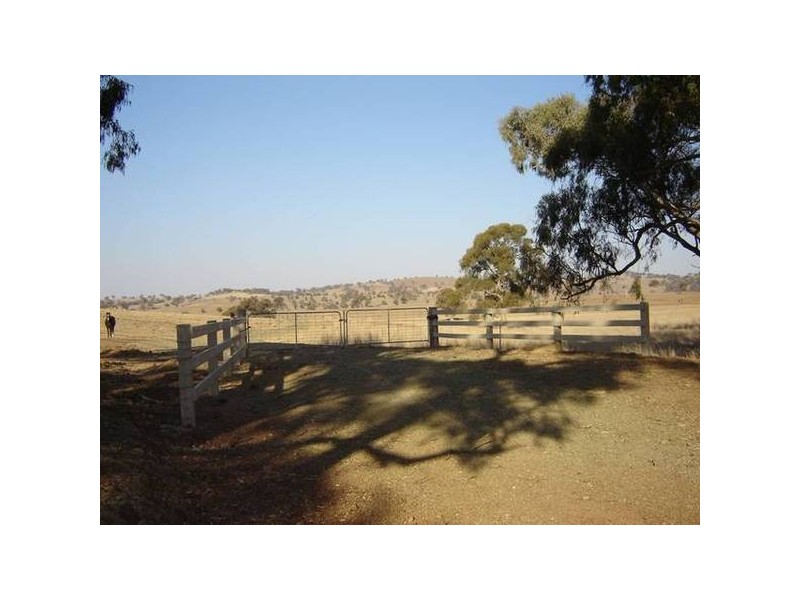 Lot 202 Jennings Lane, Molong NSW 2866