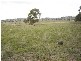Lot 202 Jennings Lane, Molong NSW 2866