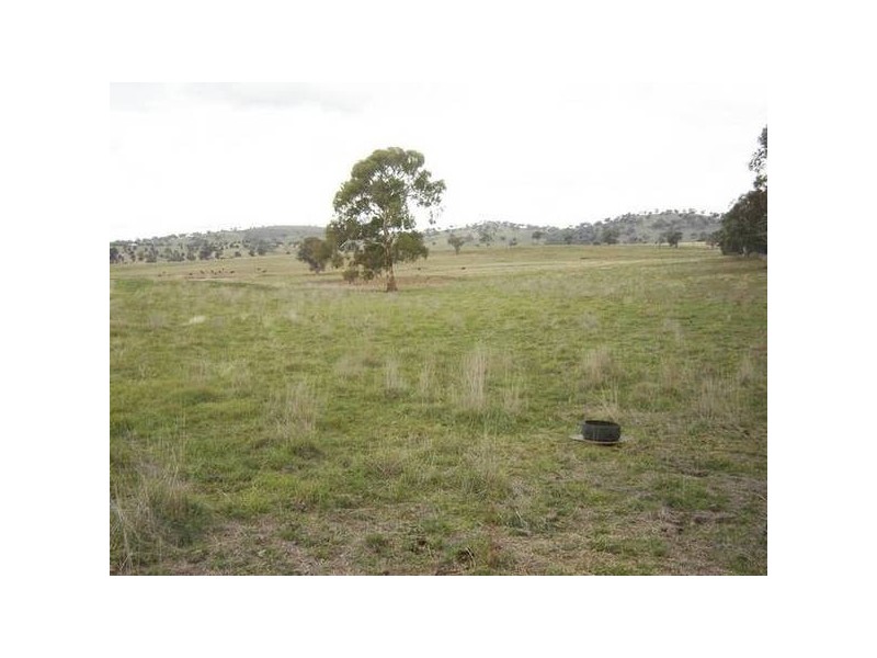 Lot 202 Jennings Lane, Molong NSW 2866