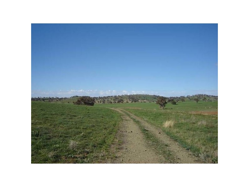 Lot 202 Jennings Lane, Molong NSW 2866