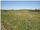 Lot 202 Jennings Lane, Molong NSW 2866